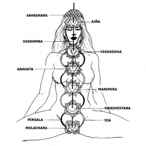 Chakras (por quem já praticou)